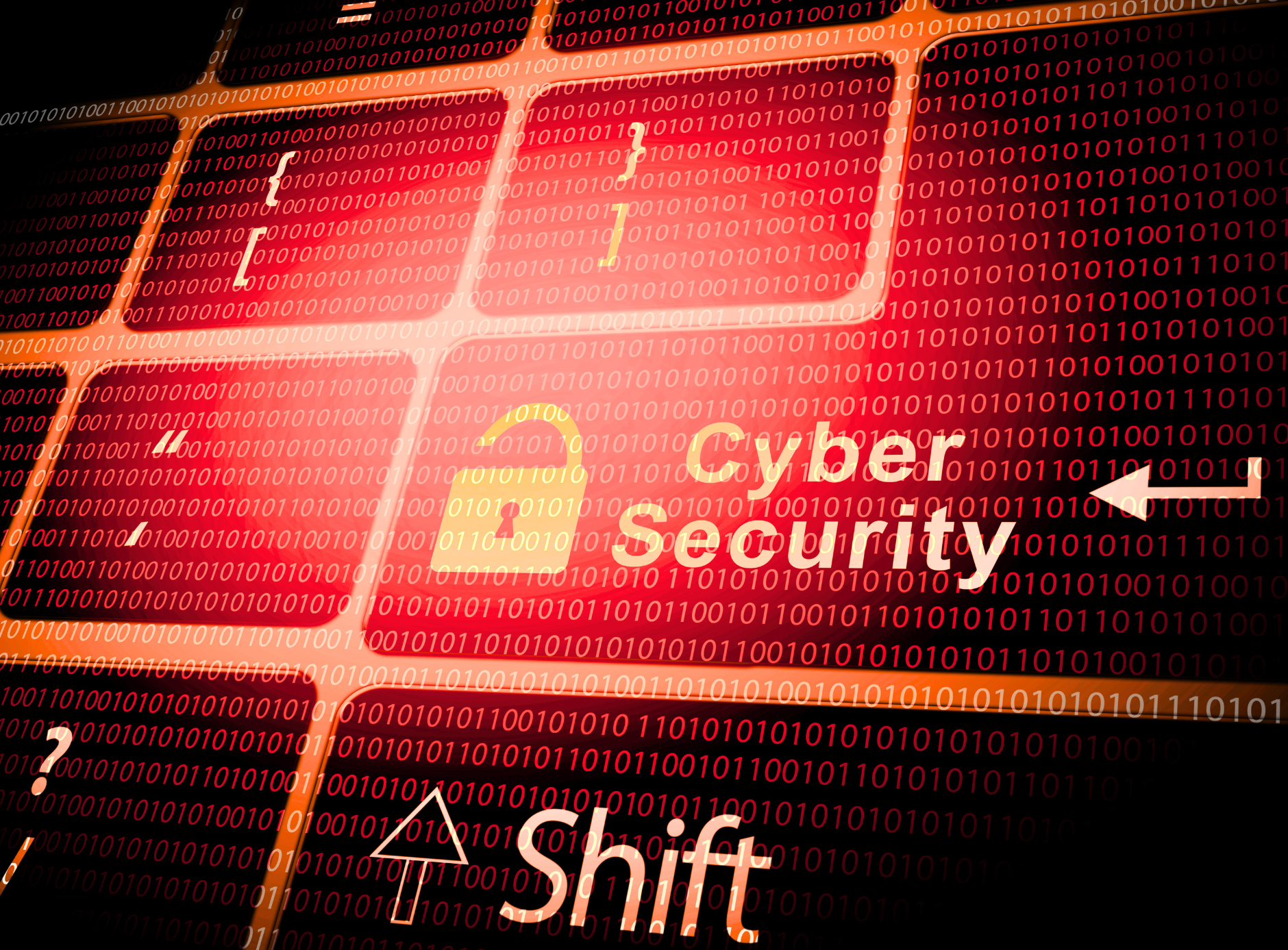 sicurezza informatica polizza dual security